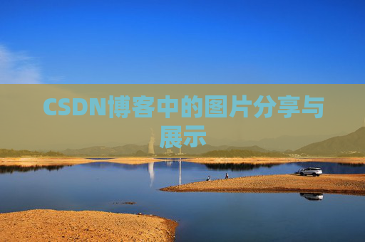 CSDN博客中的图片分享与展示